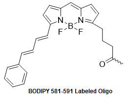 Bio-Synthesis Inc. Oligo Structure